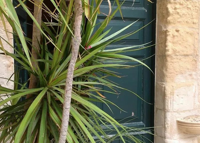 拉阔特莱切b＆b酒店